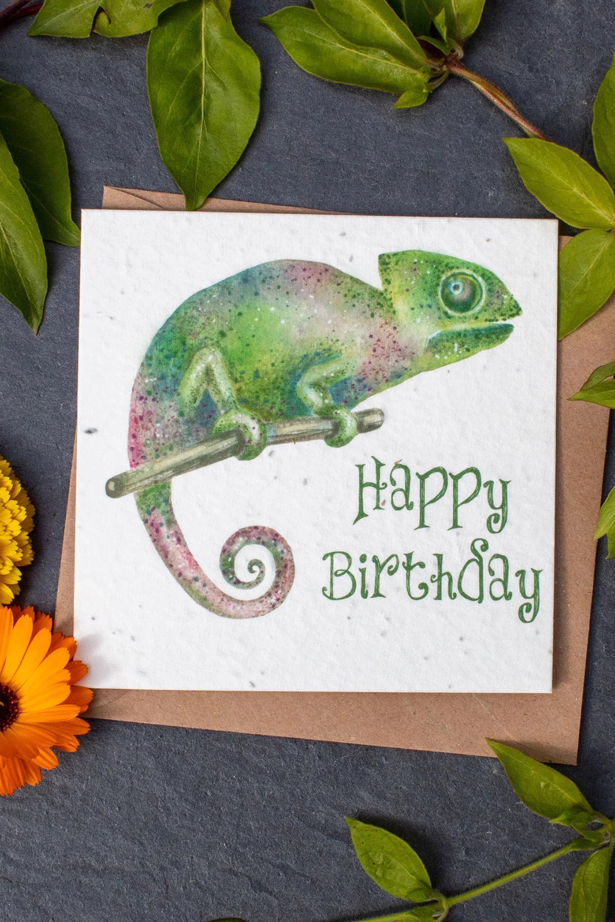 Plantable birthday card with chameleon illustration by The Naughty Shrew at Urban Wild