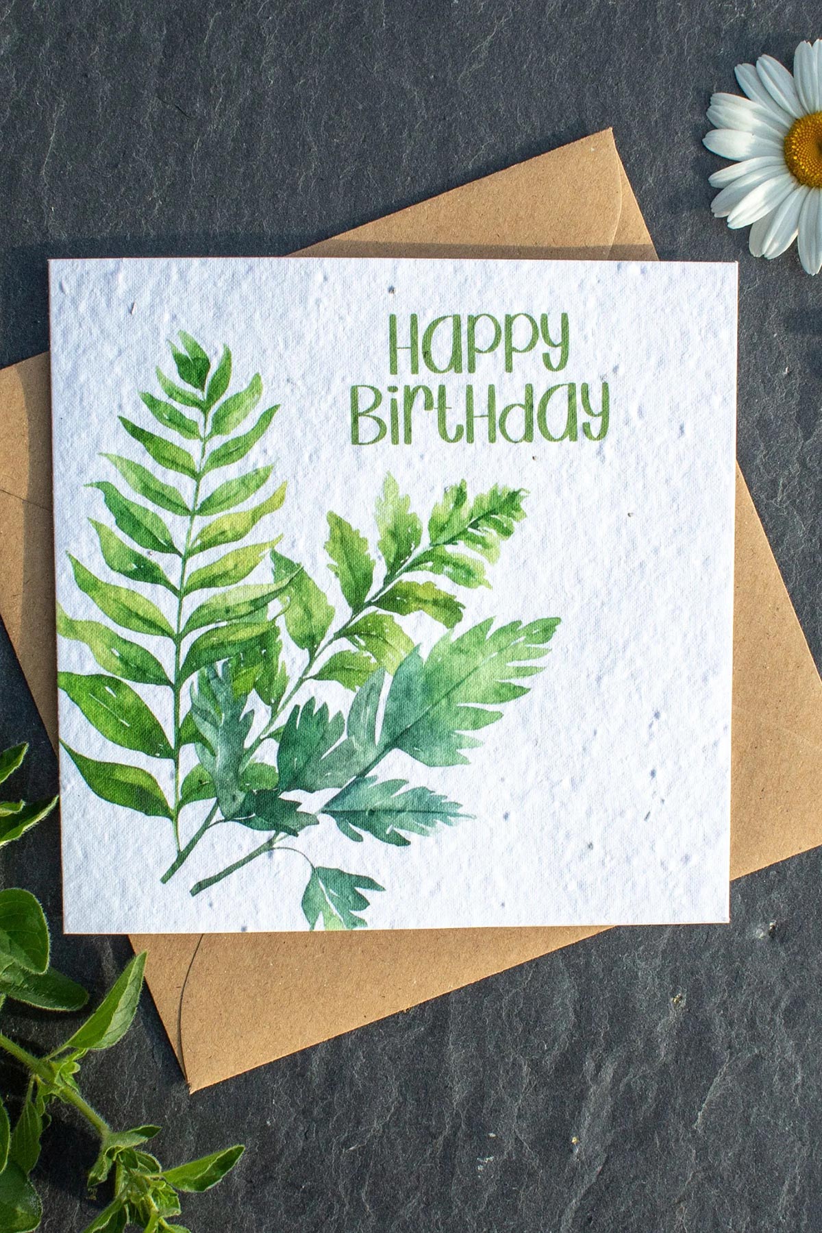 Plantable birthday card with green fern botanical illustration