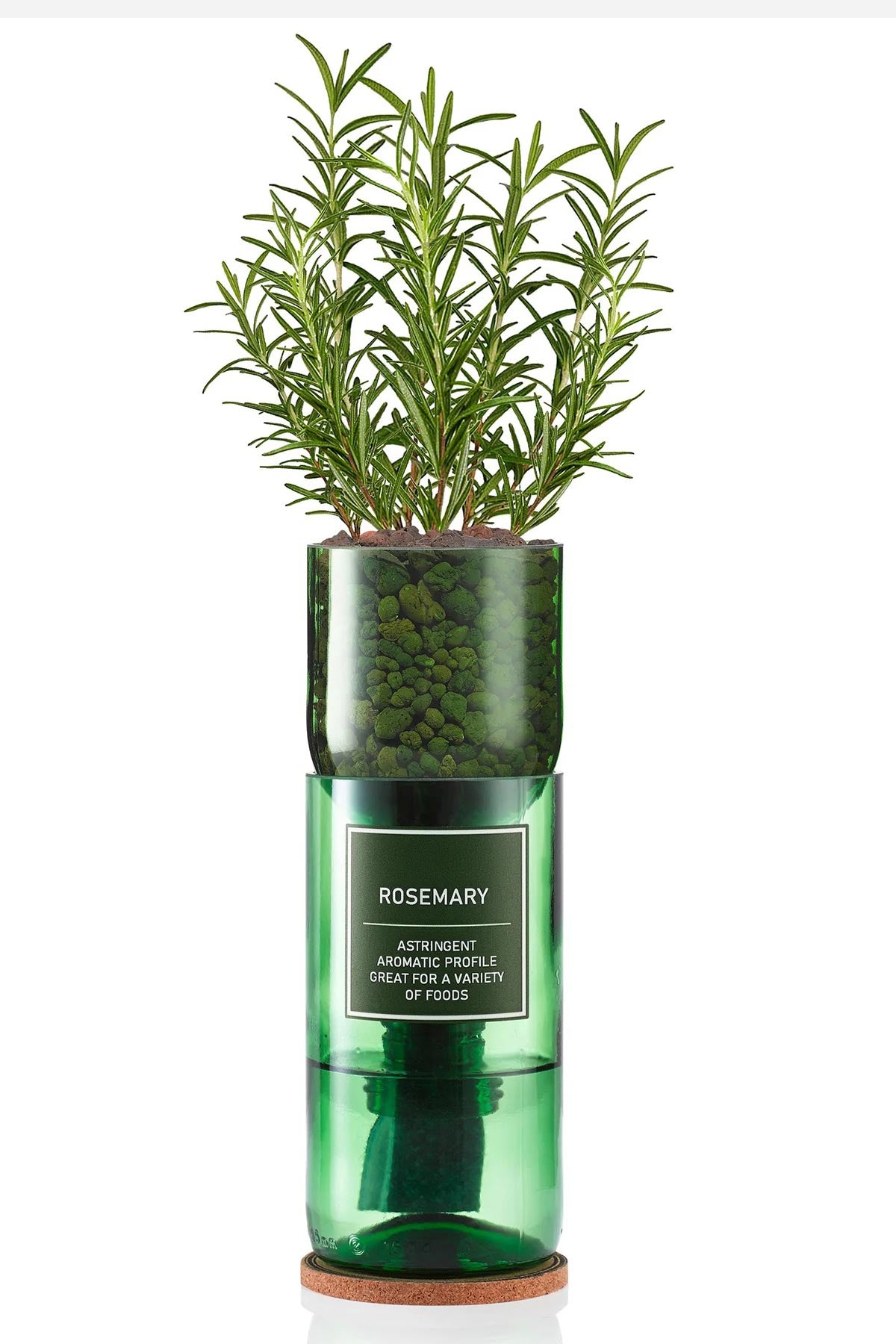 Rosemary herb growing kit by Hydro-Herb
