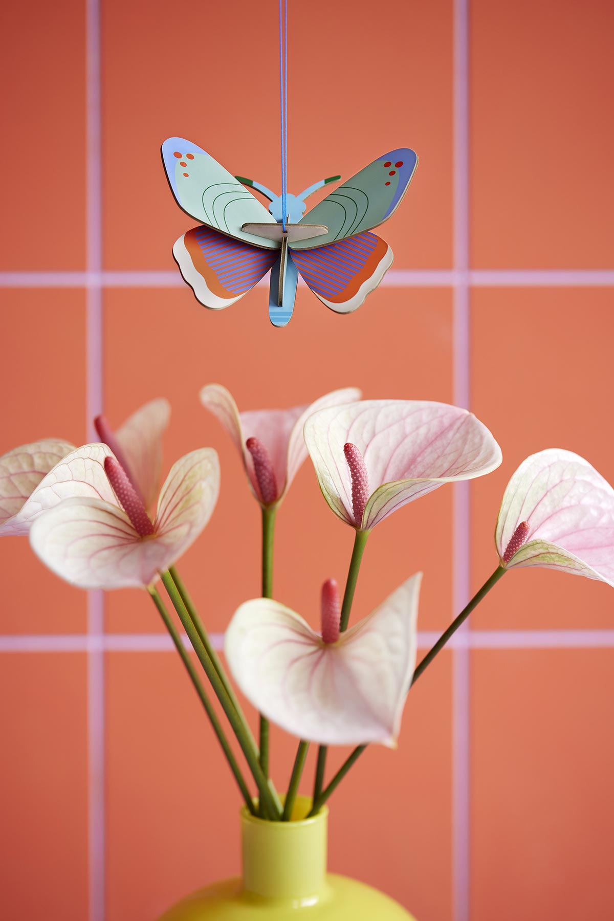 Butterfly lucky charm styled in interior