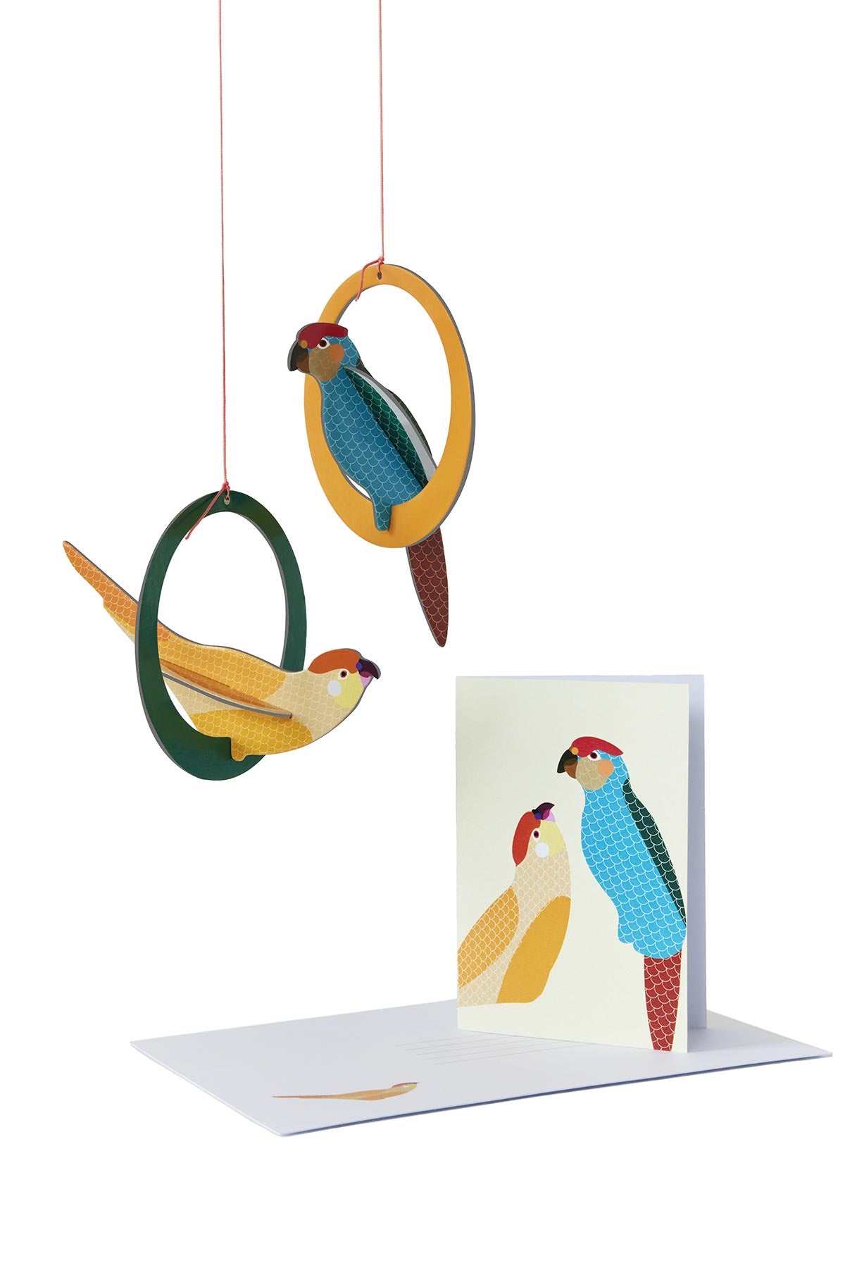 Parakeets pop-out card opened