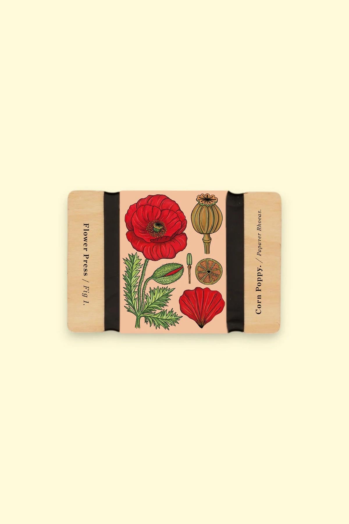 Studio Wald Pocket Flower Press Vintage Corn Poppy