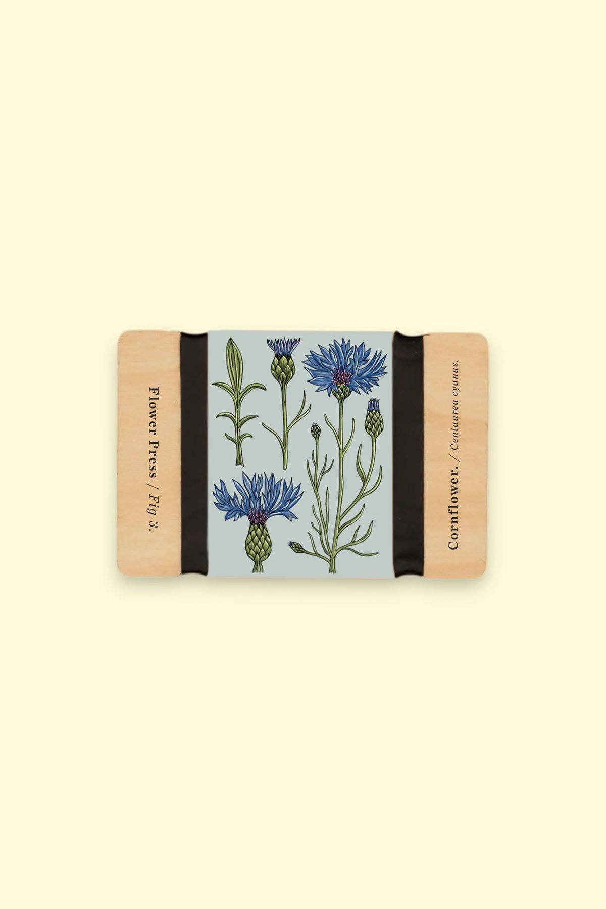 Studio Wald Pocket Flower Press Vintage Cornflower