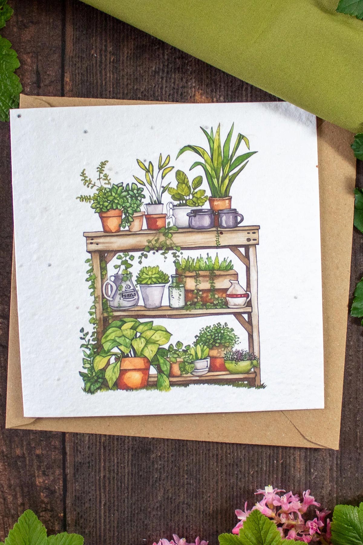 The Naughty Shrew plantable greeting card with house plants illustration, eco-friendly seed paper card from Urban Wild
