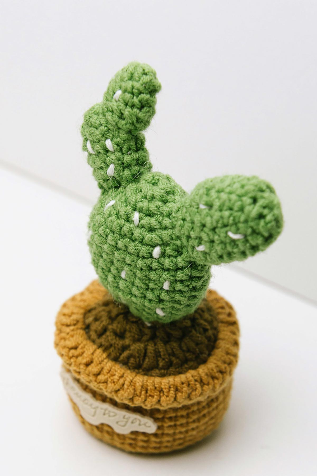 Crochet cactus detail showing white embroidered spots