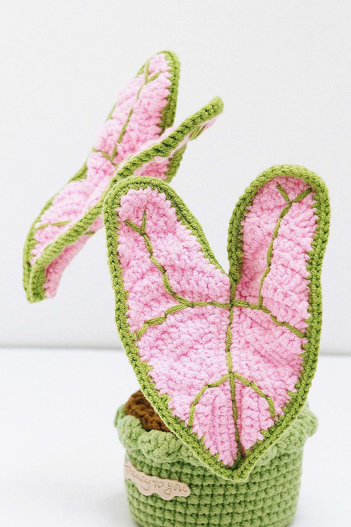 Close-up of crochet leaf detailing on Elephant Ear Pot
