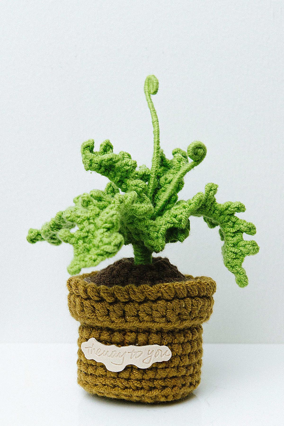 The Way to You Fern crochet plant in brown pot