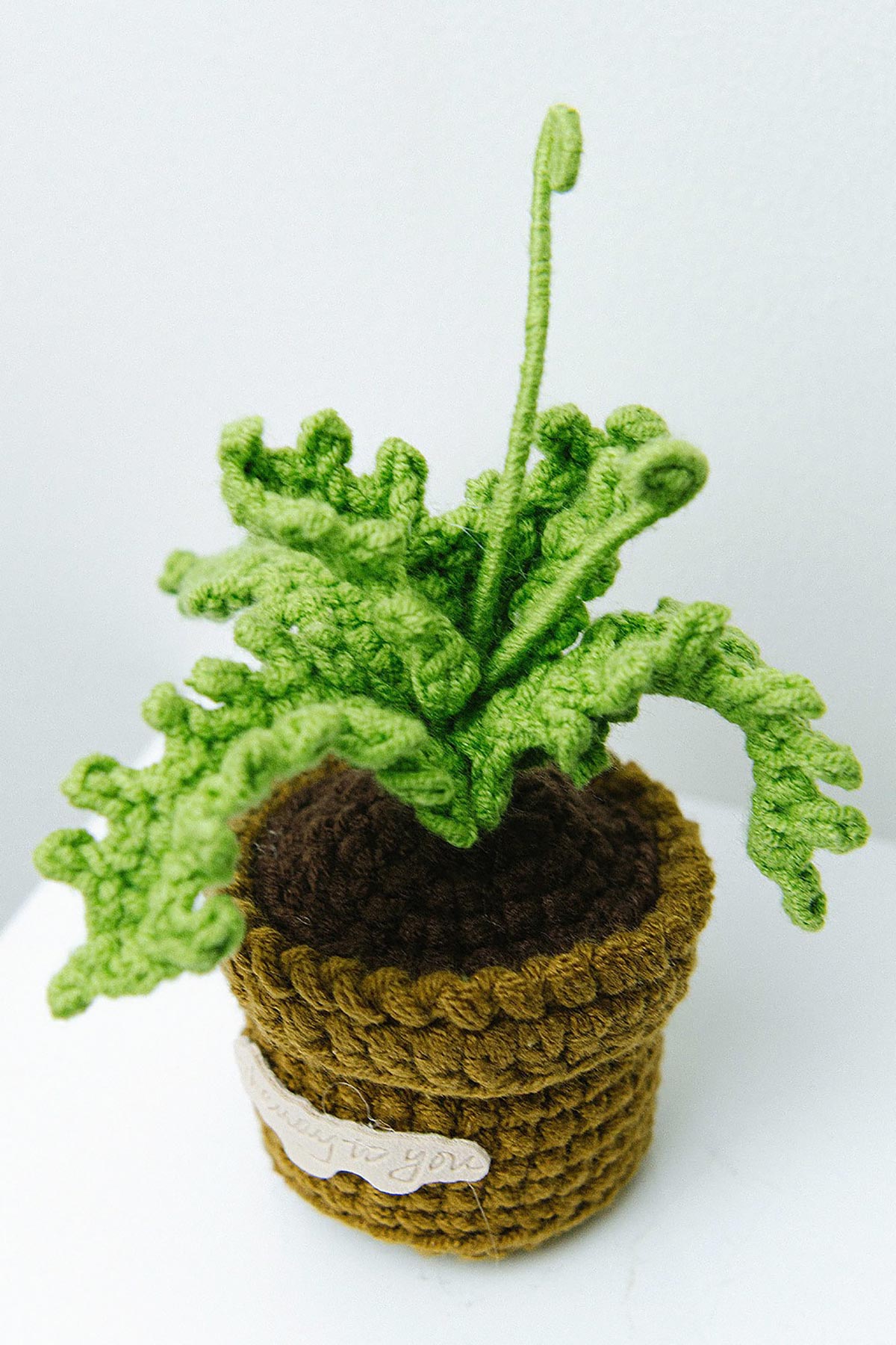 Crochet fern detail showing green textured fronds