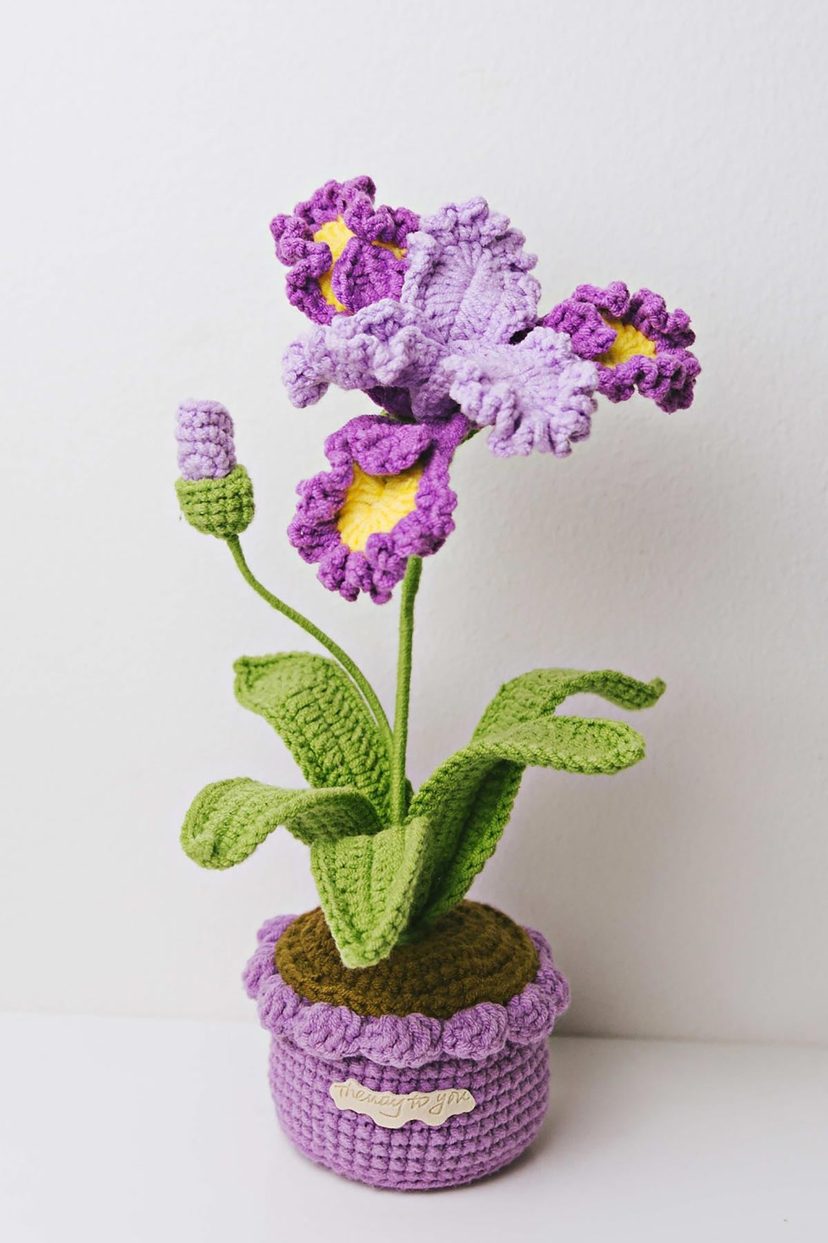 The Way to You Iris crochet flower in lilac pot