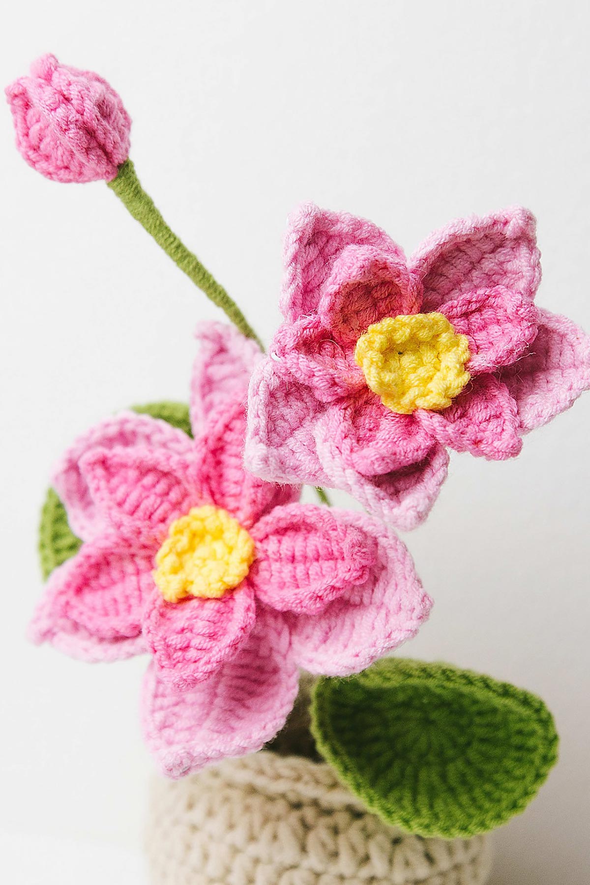 Crochet lotus in cream pot with green leaves