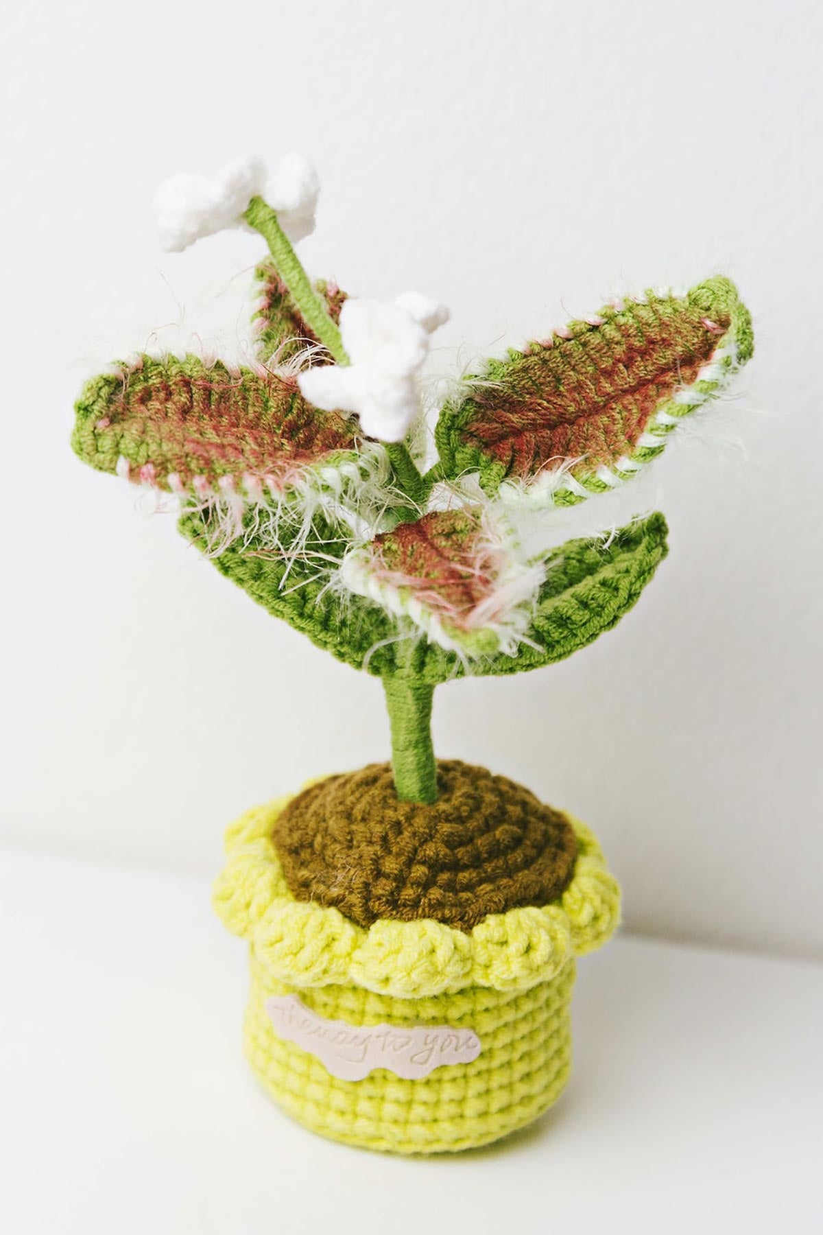 The Way to You Venus Flytrap crochet plant in yellow pot