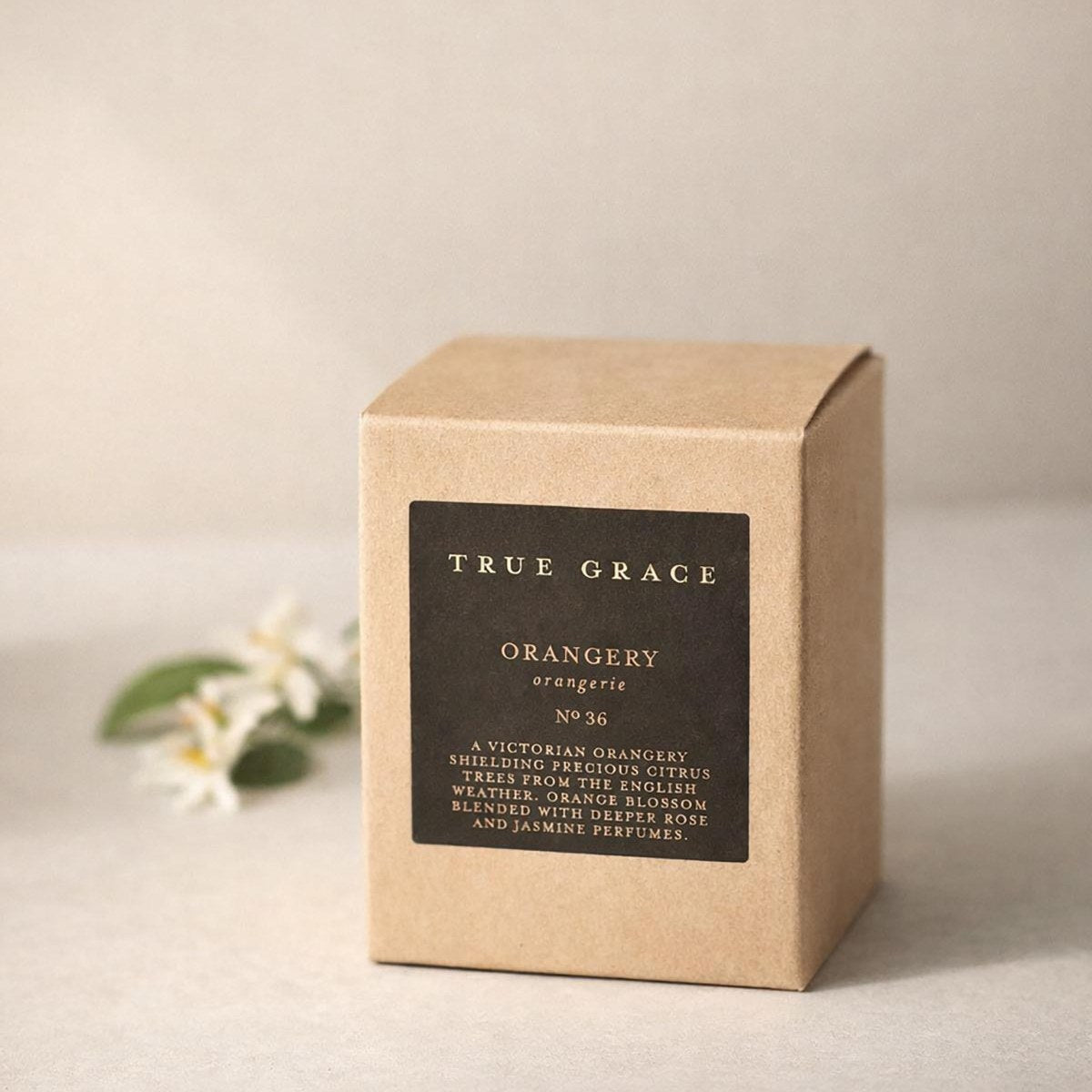 True Grace Orangery candle in its kraft gift box