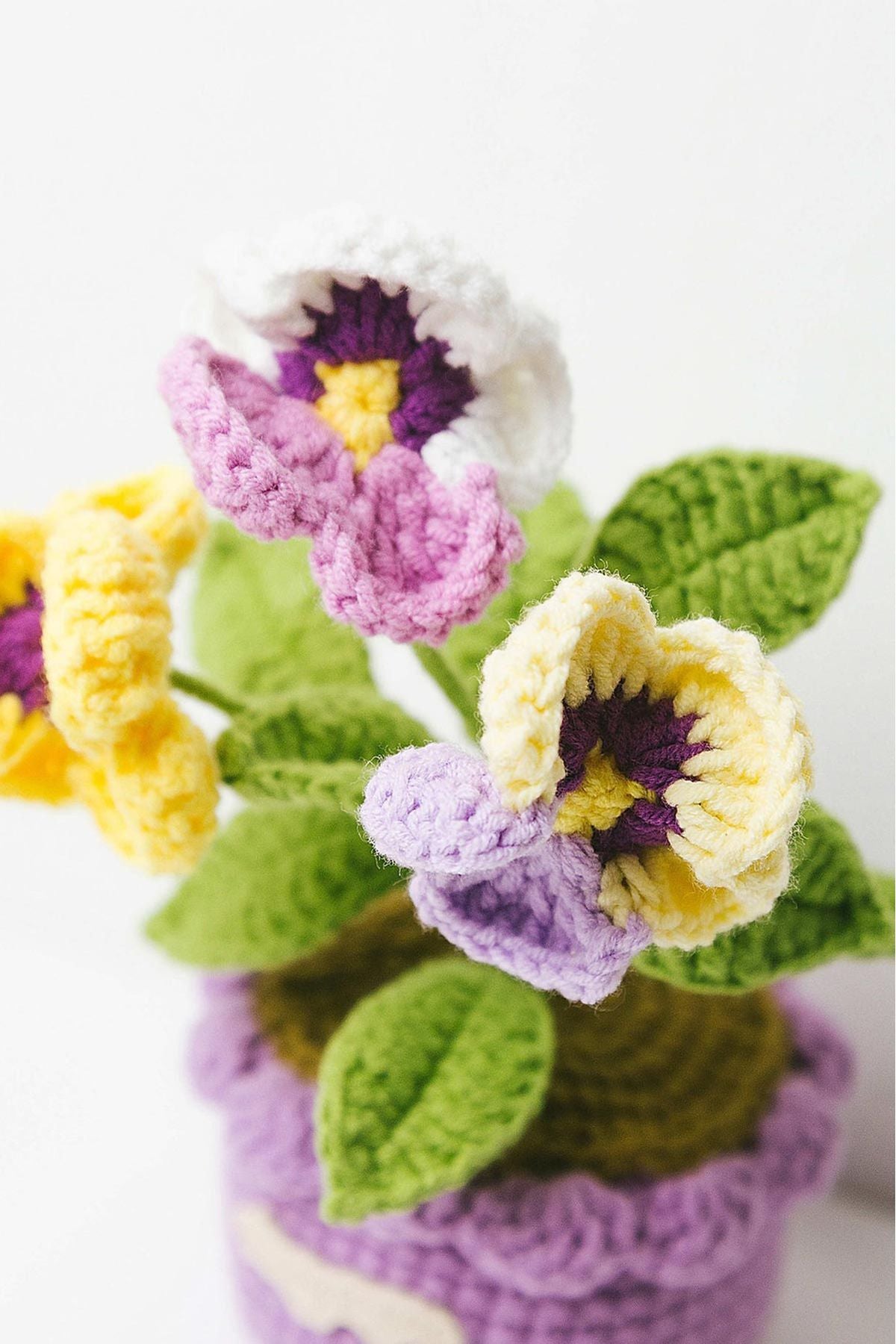 Handcrafted Crochet Pansy Pot — Urban Wild