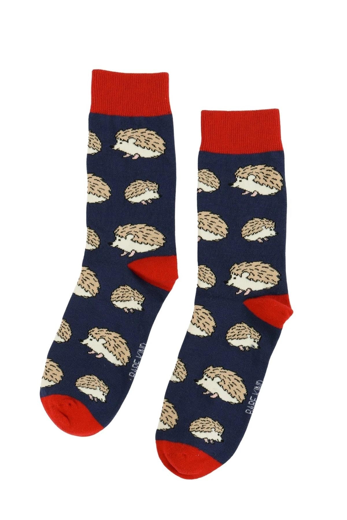 Blue and red bamboo crew socks with all-over hedgehog design by Bare Kind — Urban Wild