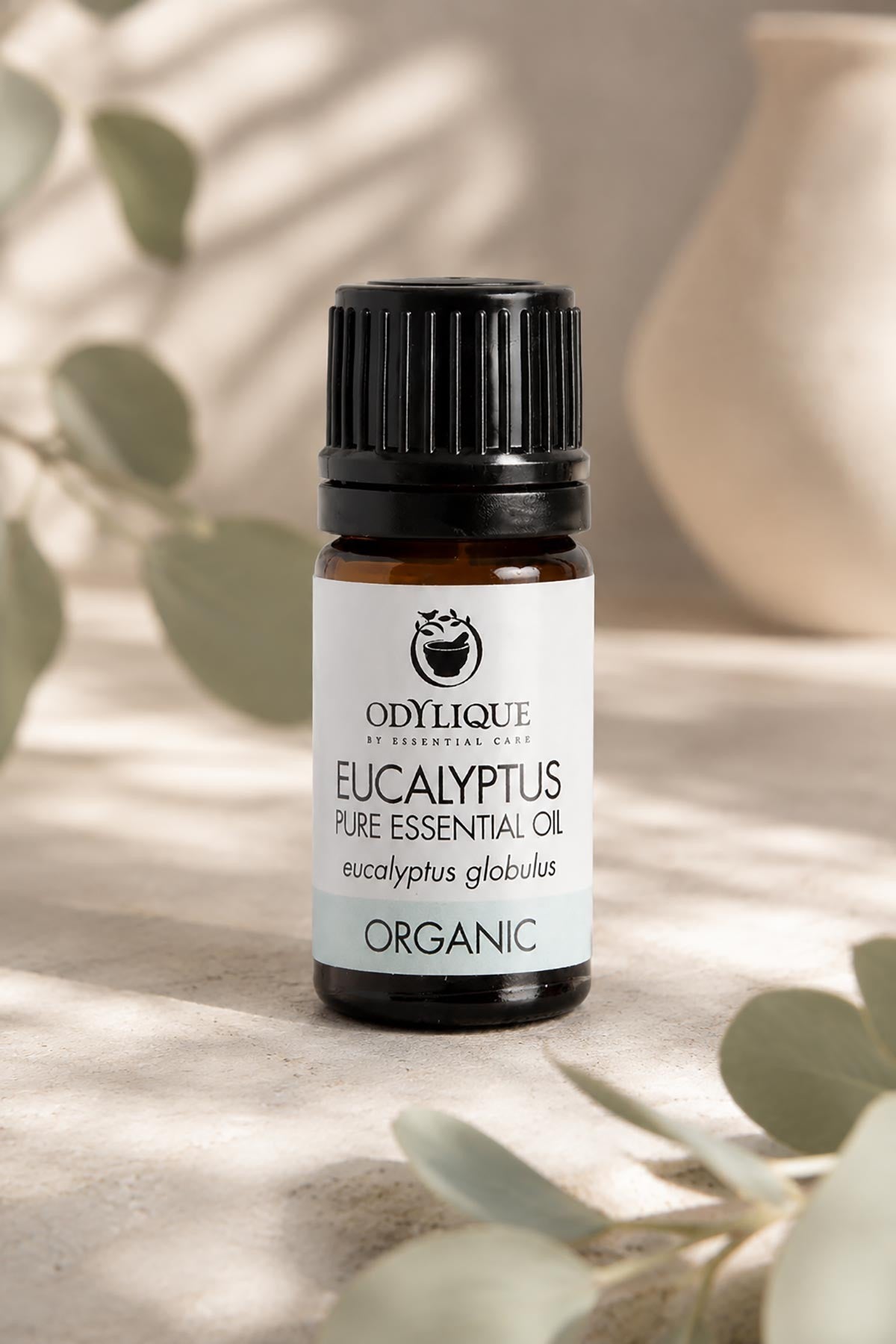 Odylique pure organic eucalyptus essential oil 5ml bottle for aromatherapy — Urban Wild