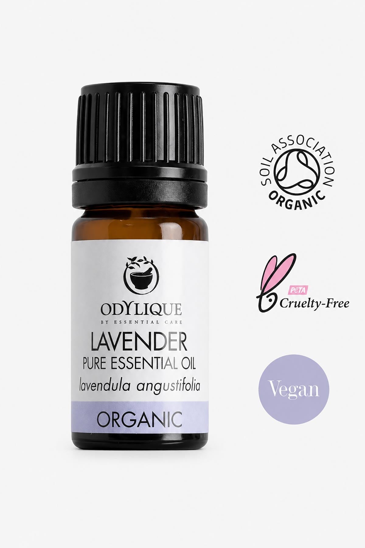 Organic Lavender Essential Oil — Urban Wild