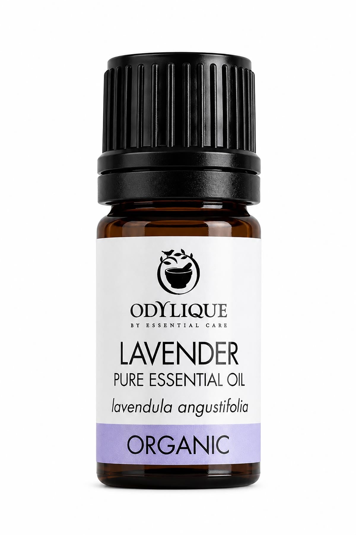 Organic Lavender Essential Oil — Urban Wild