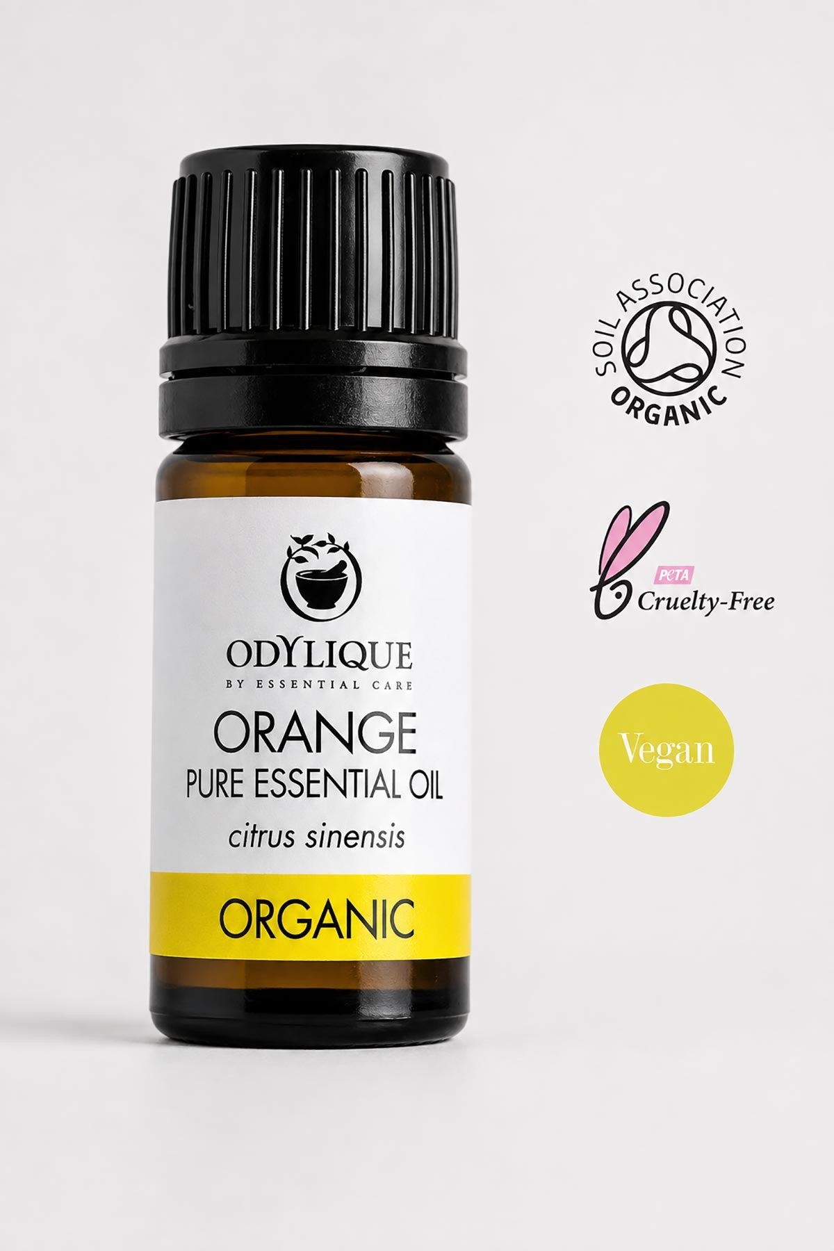 Organic Orange Essential Oil — Urban Wild