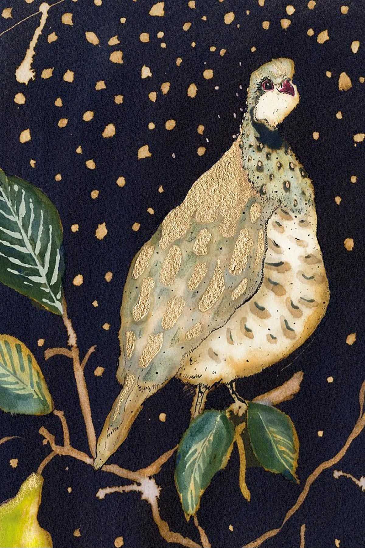 Anna Wright illustrated partridge in a pear tree Christmas card with starry sky — Urban Wild