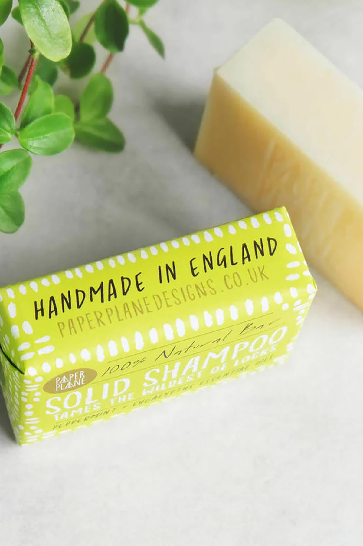Handmade in England Paper Plane solid shampoo bar with eucalyptus sprig — Urban Wild