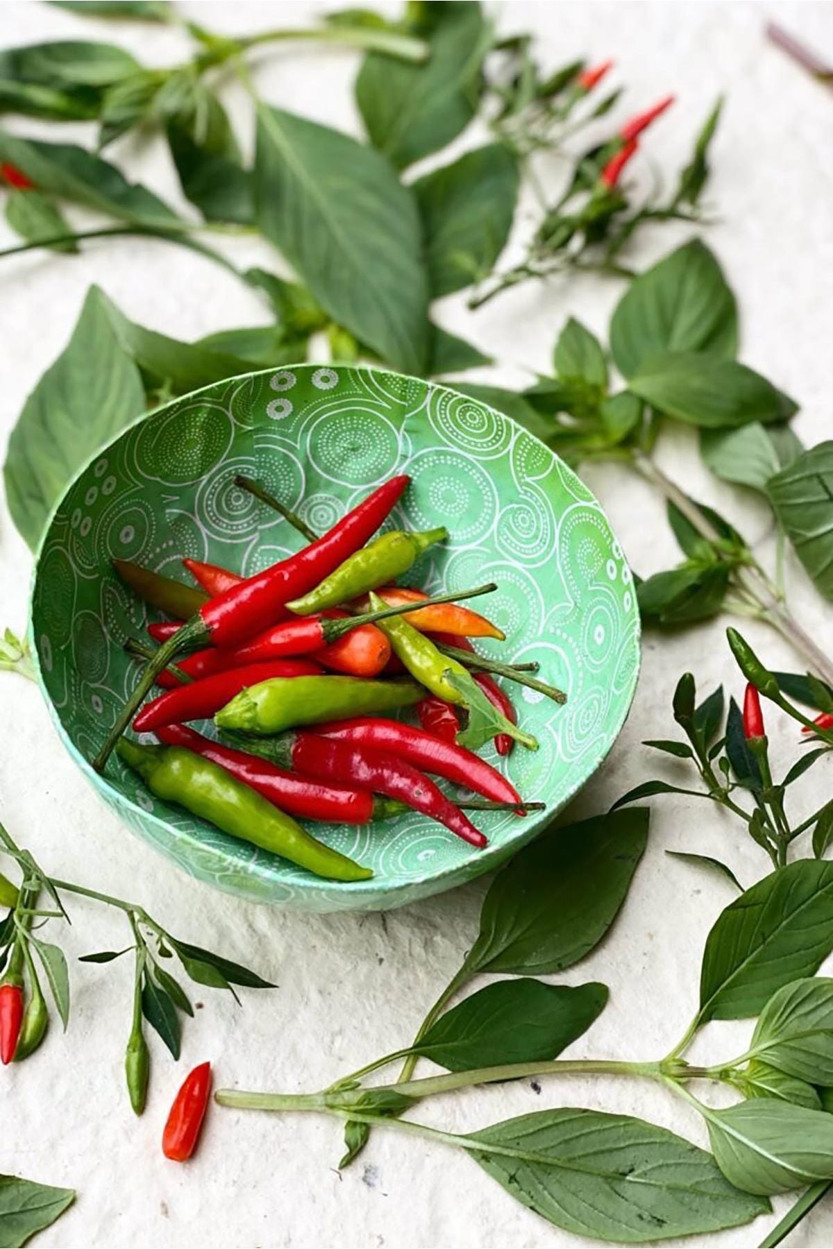 Thai Growbar lifestyle scene with fresh Thai herbs and ingredients — Urban Wild